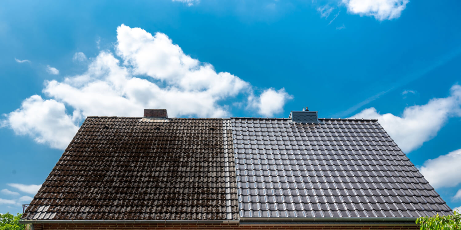 Roof cleaning